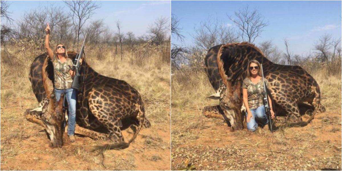 Indignación mundial por mujer que mató a jirafa negra en África