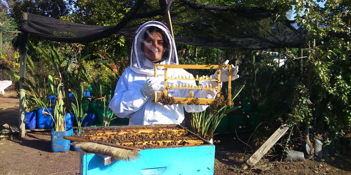 Mónica Cepeda domina el arte de la apicultura a 2.900 metros de altura, en Guatavita, Cundinamarca.