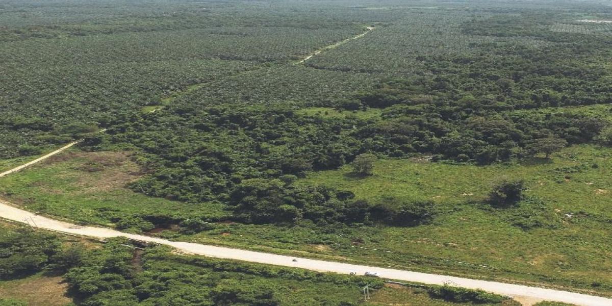 Reserva abarca 10 hectáreas de bosque húmedo tropical en Tibú.