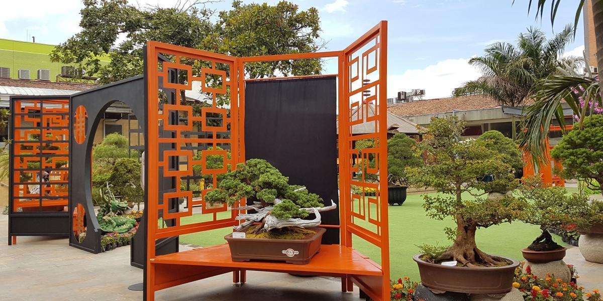Exposición bonsái