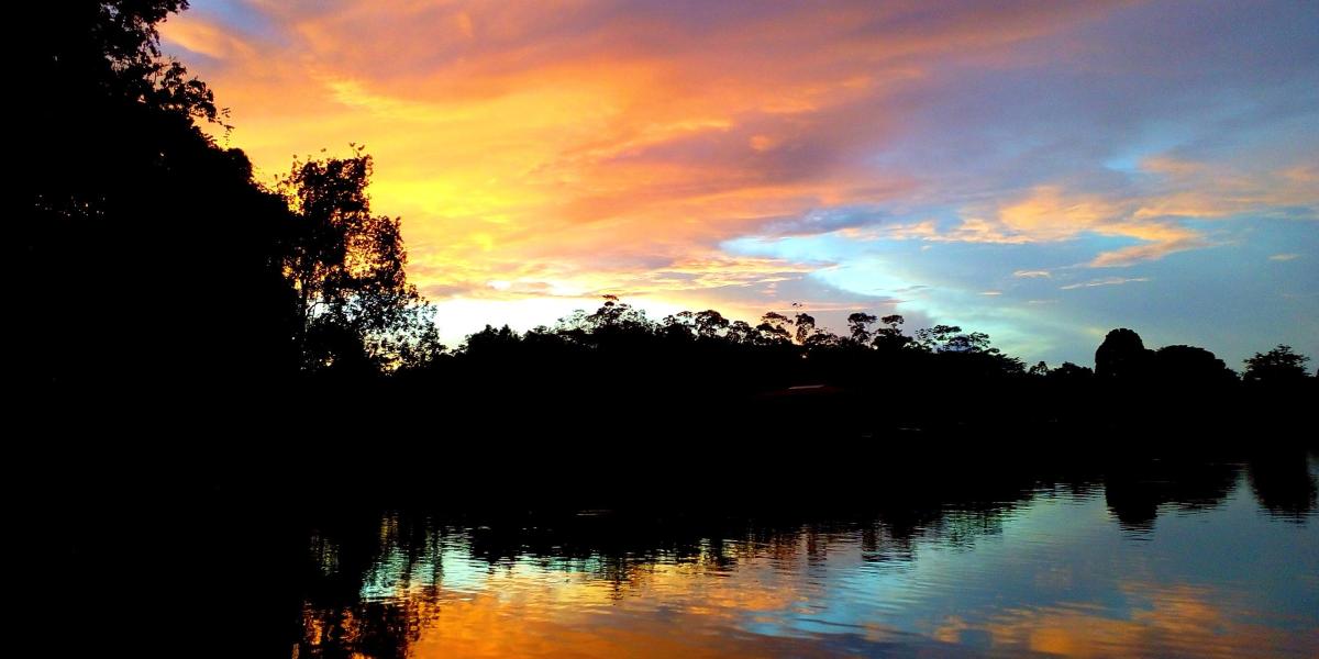 En el Parque Nacional Natural La Paya hay nacimientos de agua, bosques altos y frondosos, pantanos y varios ecosistemas que ya no se encuentran en el departamento del Putumayo.