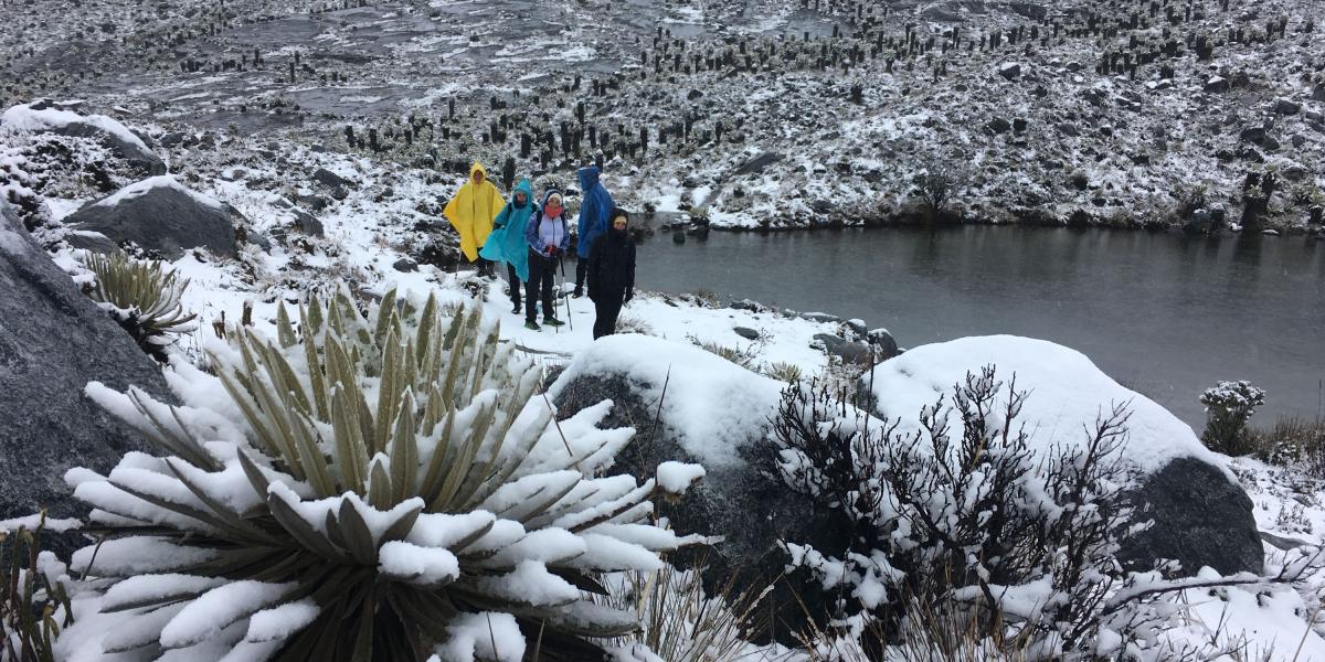 La temporada de lluvias en el Parque Nacional Natural El Cocuy ha enseñado a los visitantes una “cara” diferente del paisaje altoandino, en la foto las fuertes nevadas cubren parcialmente el páramo por donde pasa el sendero turístico del pico nevado Ritacuba Blanco en Güicán de la Sierra Boyacá; agosto 1 del 2018.