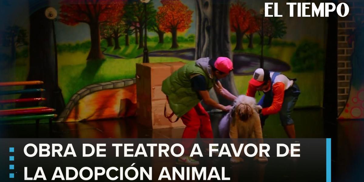 La obra de teatro en Bogotá que rinde homenaje a los perros callejeros