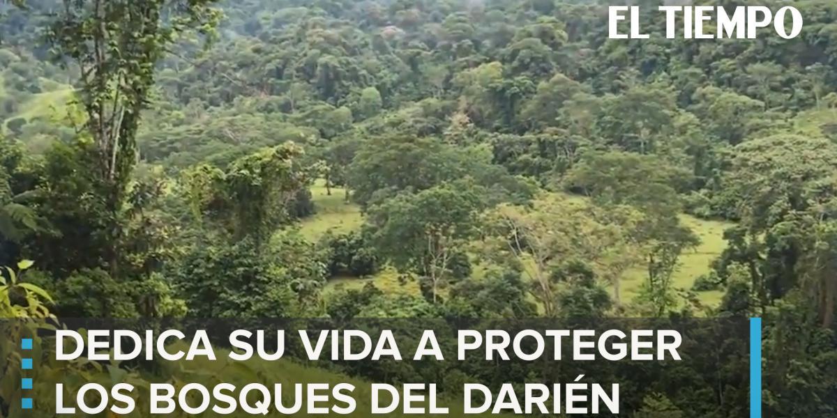 En Acandí, Chocó, una comunidad afrodescendiente ha dedicado su vida a proteger los bosques del Darién para evitar la deforestación. Al cuidar el ecosistema, venden a empresas o personas naturales la capacidad que estos árboles tienen para capturar dióxido de carbono