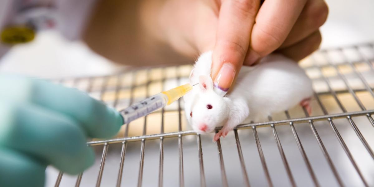 Las pruebas en animales son ampliamente utilizadas por distintas industrias.