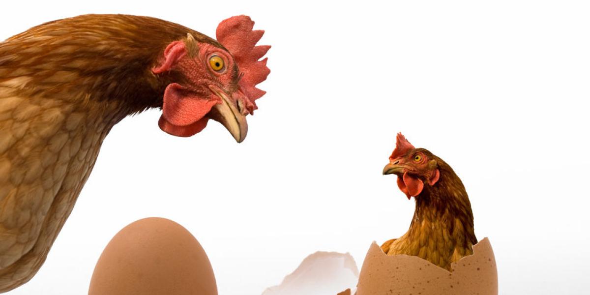 "El huevo y la gallina es una metáfora. Lo que probamos con este experimento es que... ¡los dos eventos ocurren primero!", explicó la física Jacqui Romero