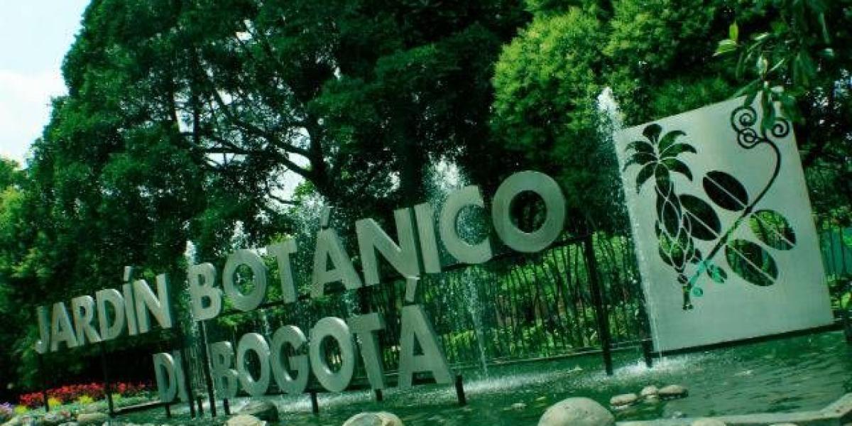 El Jardín Botánico suspendió la tala  de 1.192 árboles  en Bogotá la semana pasada.