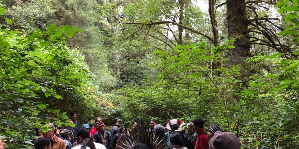 Indígenas de todo el mundo estuvieron esta semana en territorio de la tribu Yurok, en California, aprendiendo sobre cómo funciona el proyecto de venta de carbono.