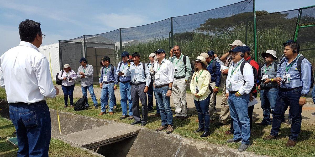Invitados de más de 25 países llegaron al Valle del Cauca.