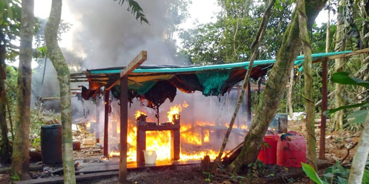 Tropas  del Ejército destruyeron un laboratorio con capacidad para producir 1.700 kilos de base de coca en Guaviare