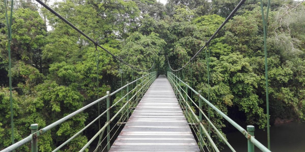 Estación biológica la selva, en Costa Rica. Centro de investigación