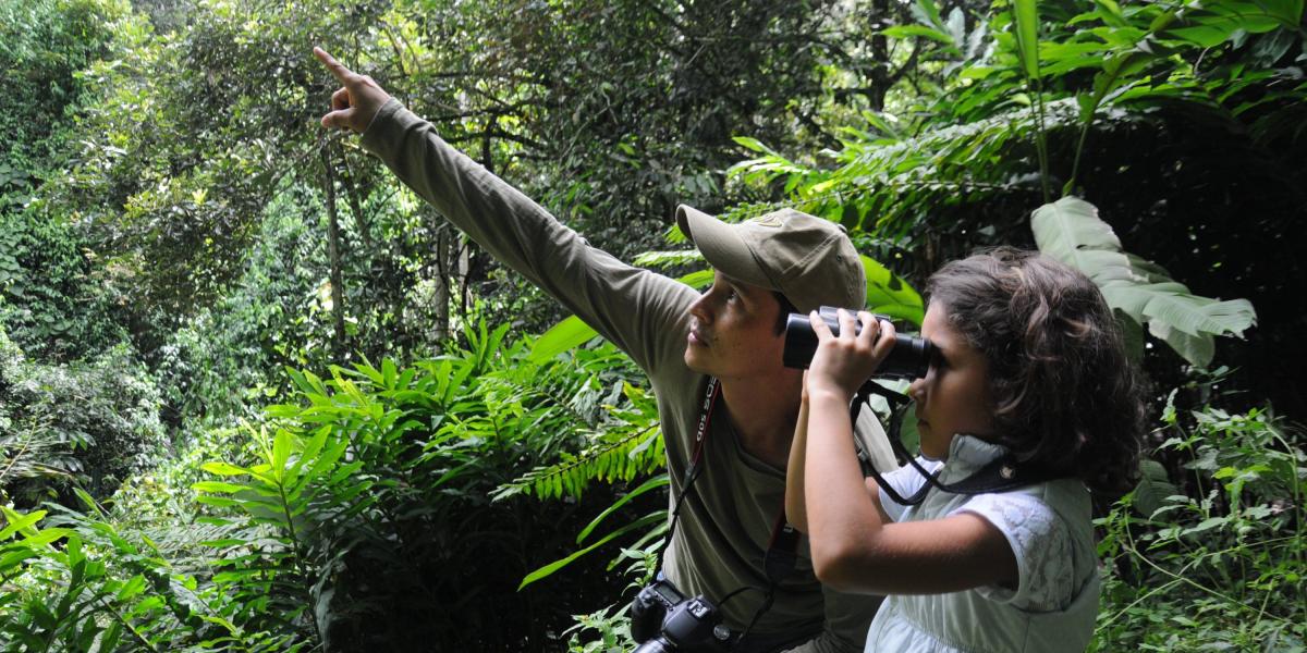 762 especies de aves pueden ser encontrada en el  departamento del Tolima.