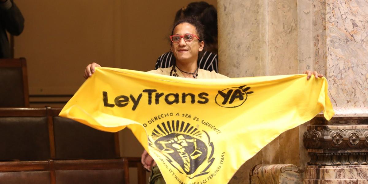 Integrantes de colectivos trans asistieron desde la tribuna de invitados al pleno donde se votó la ley.