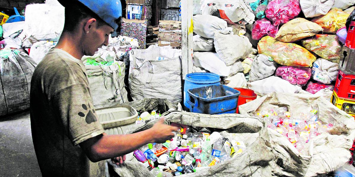 Amanita pertenece en un 20 por ciento a una fundación que trabaja para mejorar las condiciones de vida de los recicladores en Colombia.