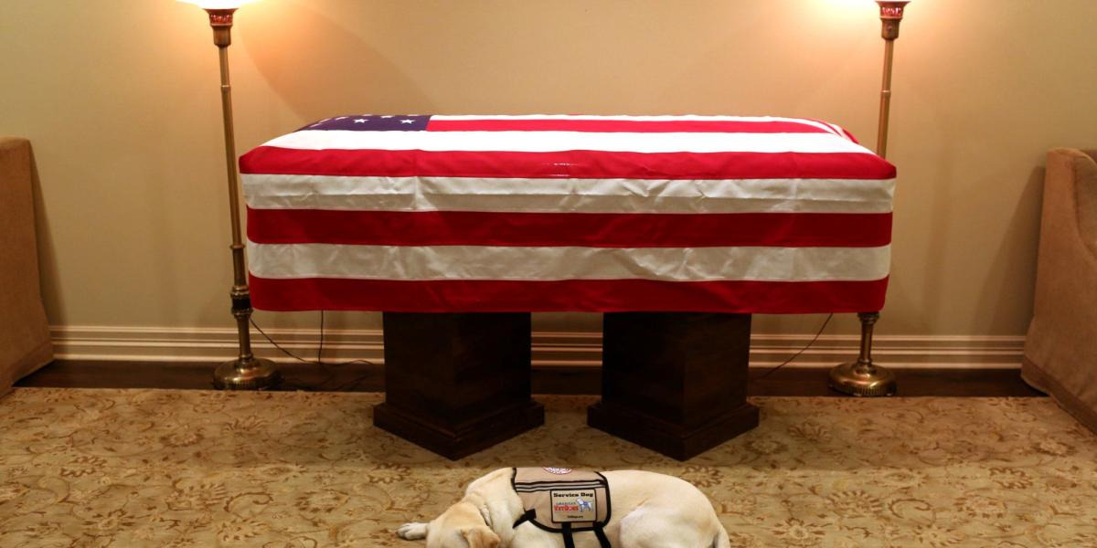 Sully, el perro de servicio del ex presidente de los Estados Unidos, George H.W. Bush en sus últimos meses, se encuentra frente al ataúd de Bush en la funeraria George H. Lewis & Sons en Houston, Texas.