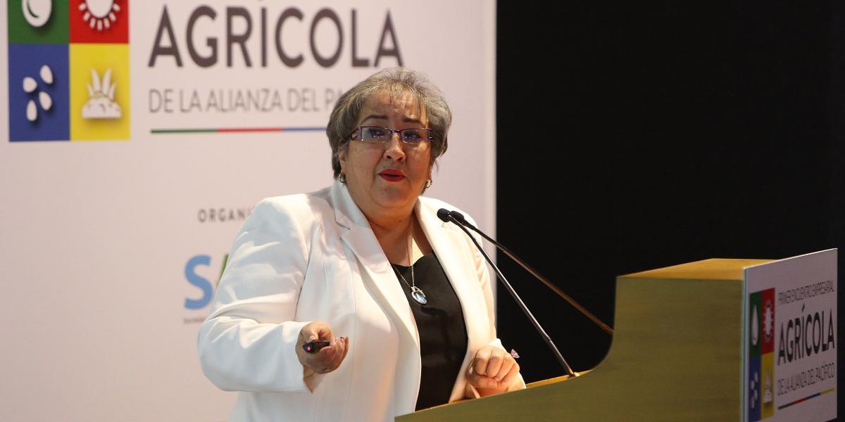 La presidenta de la SAE, María Virginia Torres.