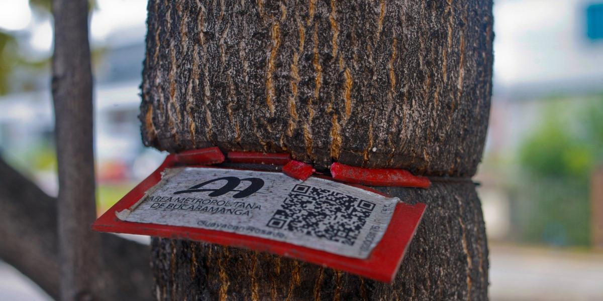 El sistema de identificación tenía un código con el que las personas podían averiguar las características del árbol, pero esta empezó a dañar las plantas.