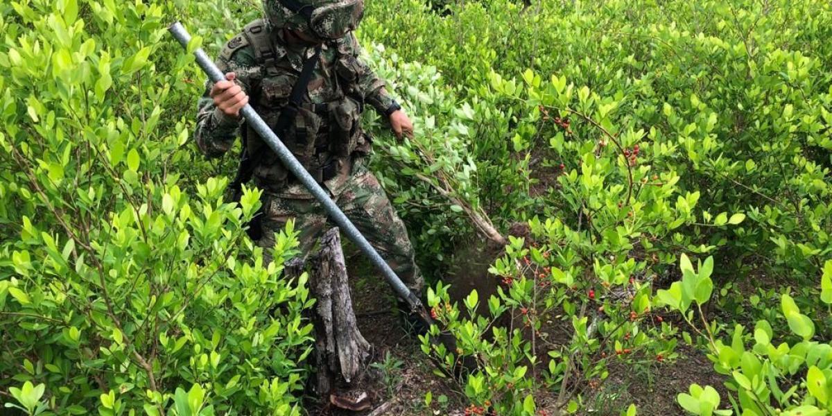 El año pasado el Ejército destinó 400 hombres para erradicar manualmente 1.500 hectáreas de cultivos de coca en el sur de Bolívar.