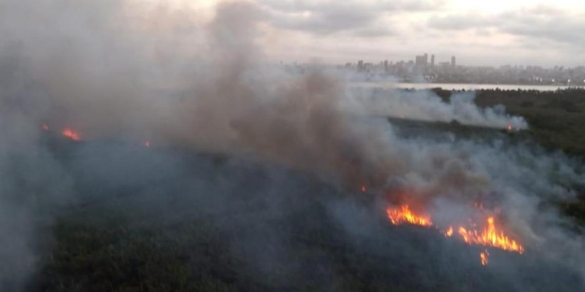Todavía  no se tiene conocimiento de cuántas hectáreas del parque natural están comprometidas por el fuego.