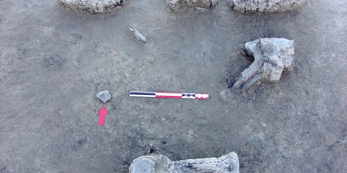 Herramienta líticas asociadas a huesos de perezosos gigantes en la región de la actual Pampa.