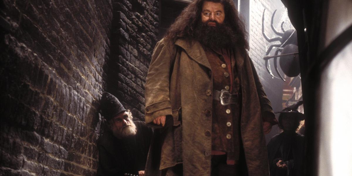 Hagrid en Harry Potter.