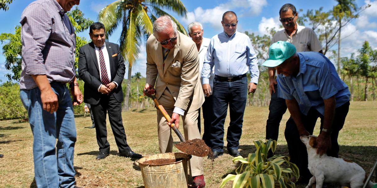 El príncipe Carlos de Inglaterra en una granja en Cuba, a donde fue para promover inversiones de su país.