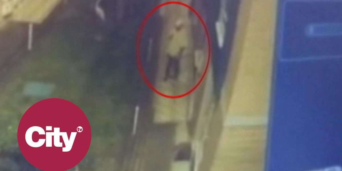 En video quedó registrado el momento en el que un hombre golpea fuertemente e un perro