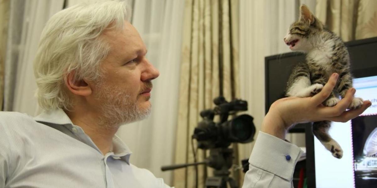 Cómo vivió Assange en su oficina de 20 metros en la embajada durante siete años.