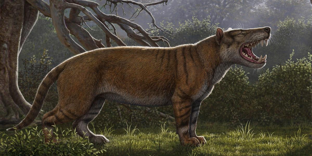 Reconstrucción facilitada por el Museo Nacional de Nairobi, de una nueva especie de mamífero gigante.