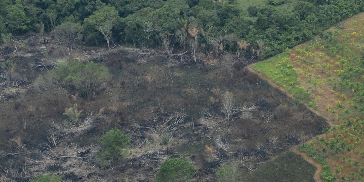 Deforestación en el departamento del Guaviare. En 2017, Colombia perdió cerca de 220.000 ha de bosque natural.
