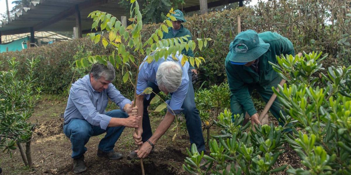 Plantación simbólica permitió lanzar el programa que llevará más de 300.000 árboles a todas las localidades.
