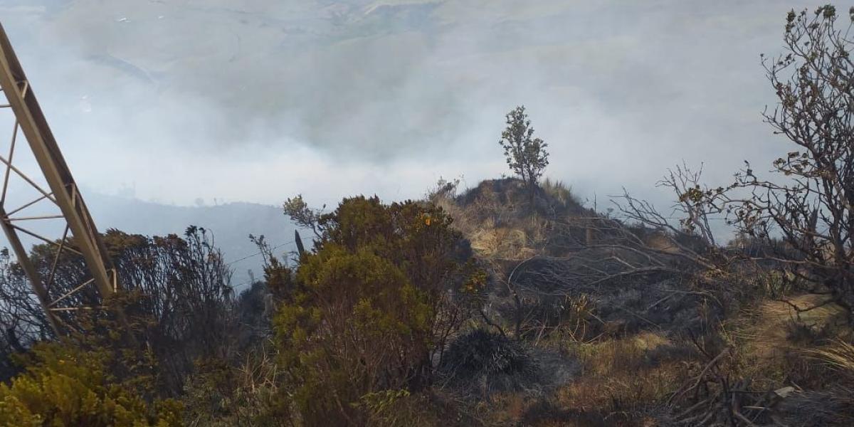 El incendio se presenta en una vasta zona del Parque Nevados.