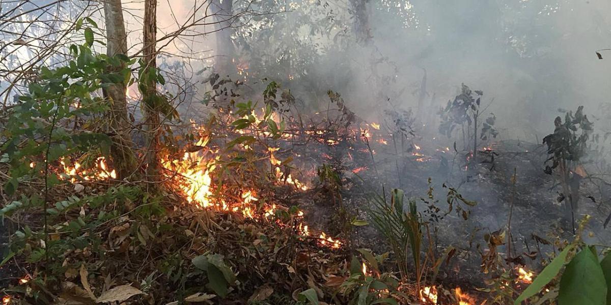 Fotografía del 18 de agosto de 2019, cedida por el cuerpo de Bomberos de la ciudad de Porto Velho, que muestra una de las conflagraciones de los grandes incendios que azotan la amazonía brasileña, en Porto Velho, capital del estado amazónico de Rondonia (Brasil).