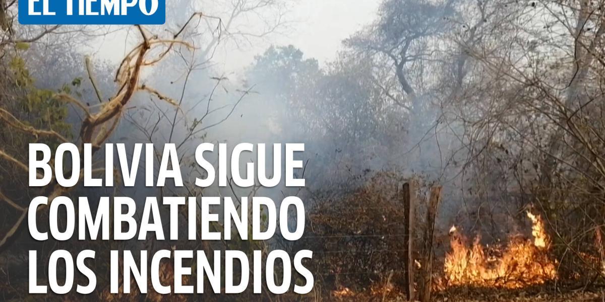 Gobierno localiza cinco principales incendios en Bolivia