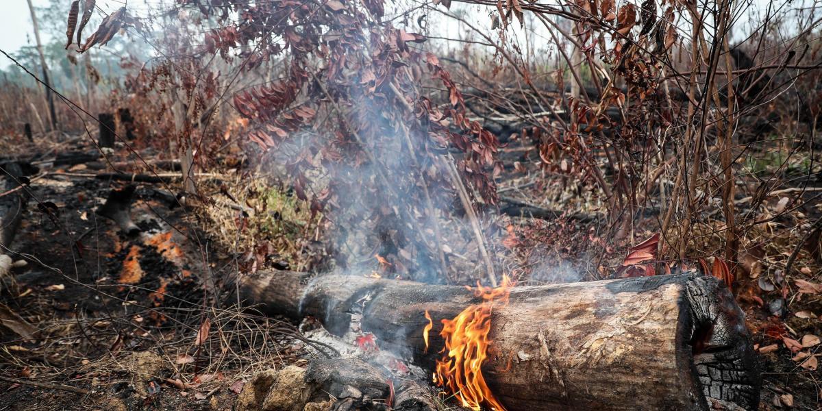 Cuando los militares del Batallón 54 de Infantería de Selva del Ejército llegaron a la localidad de Apuí, al sur de Amazonas, su objetivo era combatir los incendios. Las intensas y torrenciales lluvias que han bañado la región en las últimas horas facilitaron la labor humana y redujeron significativamente los focos de incendio.