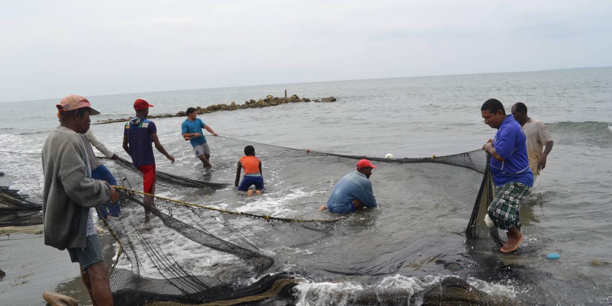 Paraguay Pesca - COSA DE NUNCA ACABAR SI ENTRE TODOS NO