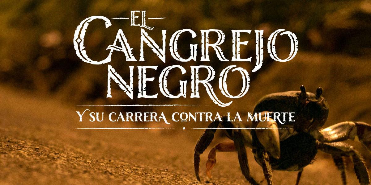'El cangrejo negro y su carrera contra la muerte' es un especial de El Tiempo.