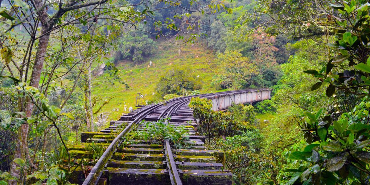 Este es el estado de la mayoría de vías férreas en Cundinamarca. Algunas organizaciones turísticas han creado senderos junto a ellas. FOTO: