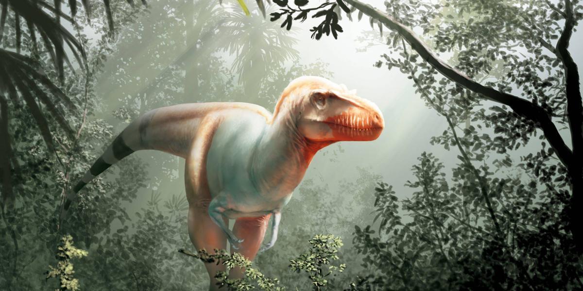 Reconstrucción del Thanatotheristes degrootorum, un primo del tiranosaurio rex.