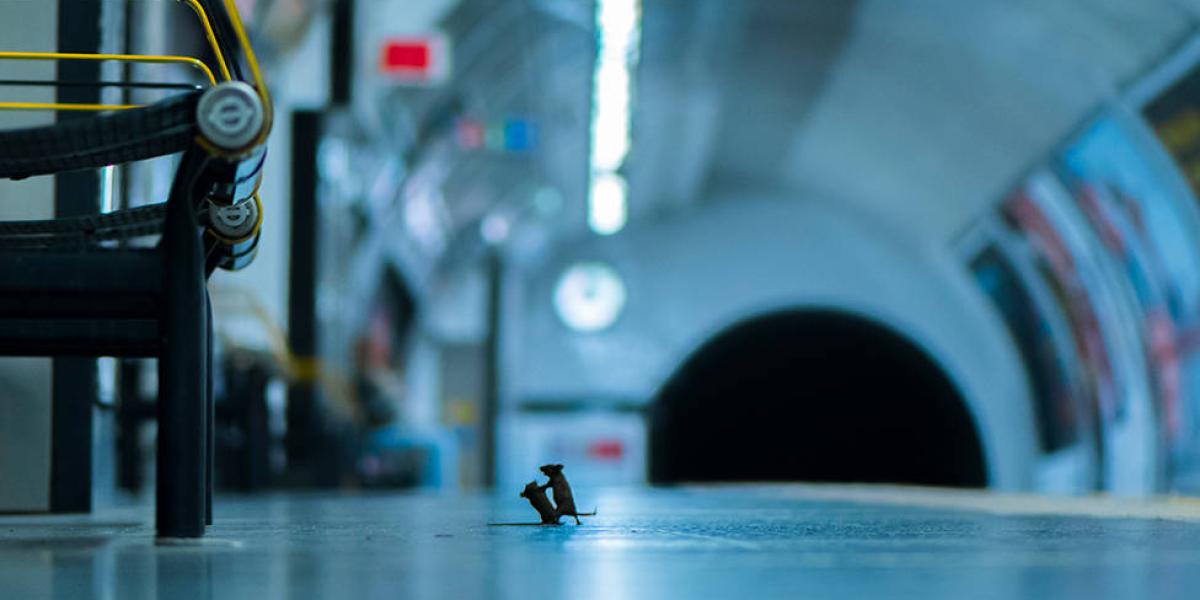 Sam Rowley pasó cinco noches tendido en el piso de un andén en el metro de Londres para lograr esta imagen.