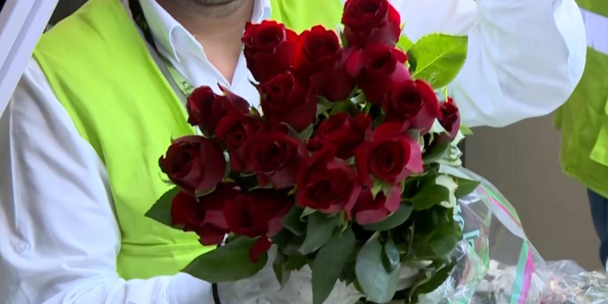 Rosas, crisantemos o claveles… Colombia exporta flores a más de 100 países previo al día de San Valentín. Estados Unidos es su principal mercado.