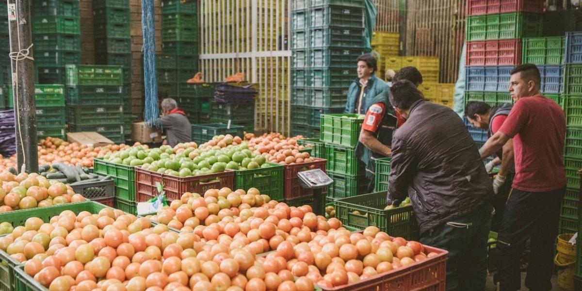 En corabastos los precios de productos que escasearon, como los cítricos, volvieron a nivelarse, según el Ministerio de Agricultura.