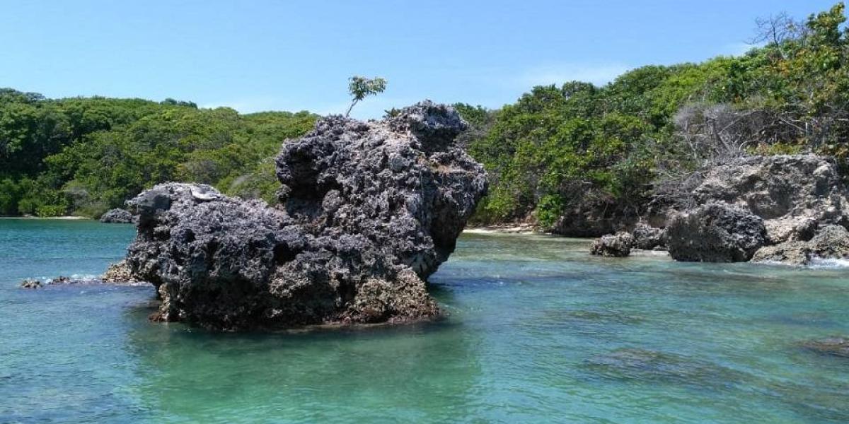 Turista paisa desapareció en una quebrada del Parque Tayrona: 'una ...