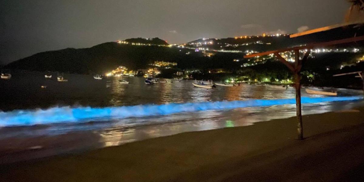 En el caso de Acapulco, las olas brillantes se debieron a microalgas o plancton luminoso.