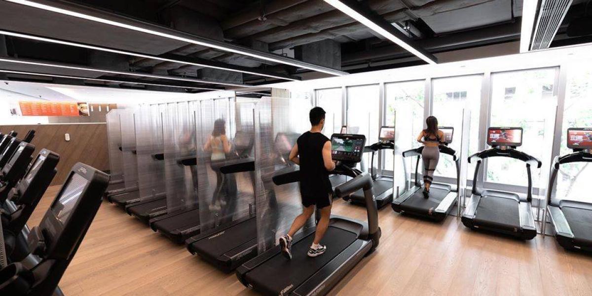 Máquinas de cardio en el gym: cuántas hay y cuáles son sus ventajas