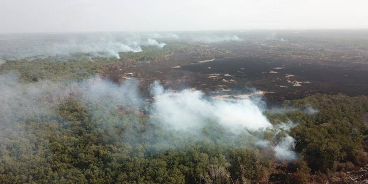 El humo que generan las quemas en la Isla de Salamanca, afecta a los barrios del norte y centro de Barranquilla.