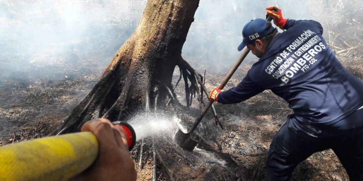 Los bomberos de Sitionuevo y Ciénaga (Magdalena) estuvieron los 11 días luchando para controlar el incendio en la reserva natiral.