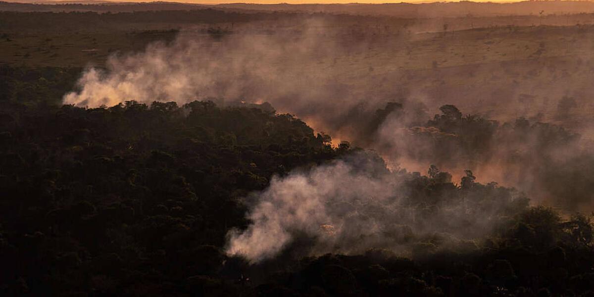 Entre el 7 y el 10 de julio, Greenpeace Brasil voló sobre el estado de Mato Grosso para capturar imágenes de incendios en el Amazonas.