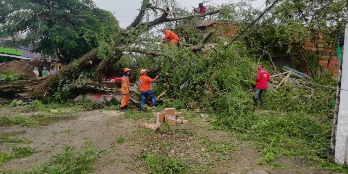 La Defensa Civil en Villavicencio reportó la caída de tres árboles en el sector el Cairo y los barrios Villa Mélida y la Madrid.