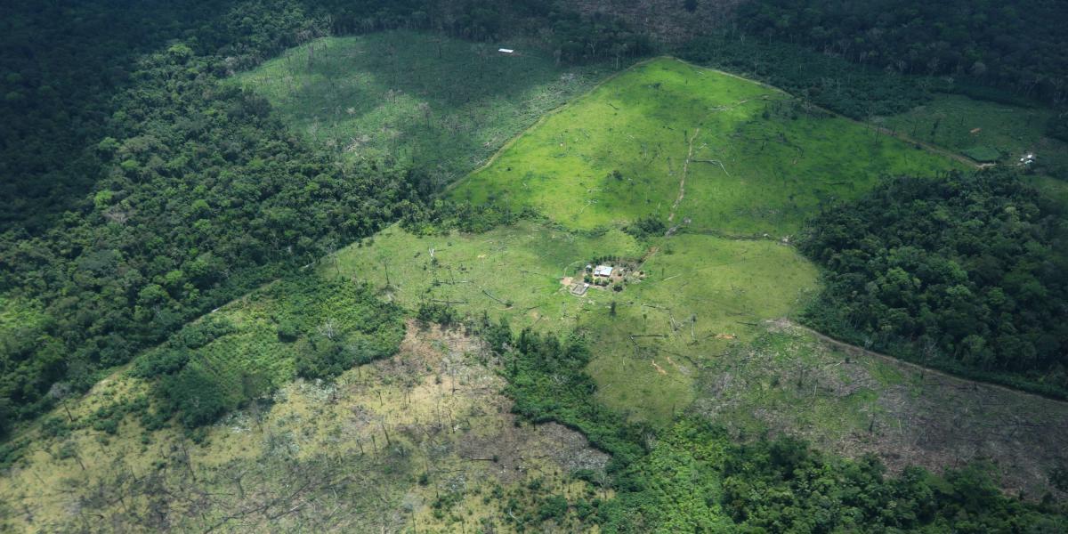 El pasado 16 y 17 de octubre, EL TIEMPO sobrevoló las áreas más afectadas por la deforestación. Grandes lotes sin árboles.